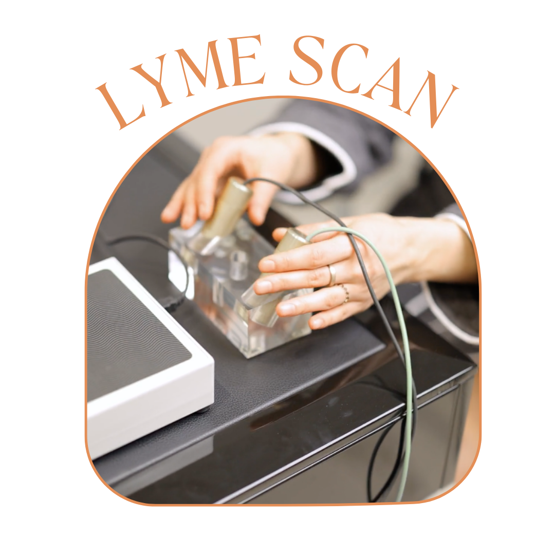 Lyme Scan